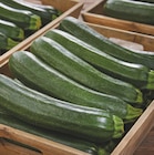 Courgette en promo chez Netto Courgette dans le catalogue Netto