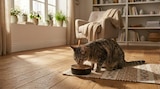 Croquettes pour chat stérilisé - ULTIMA dans le catalogue Carrefour