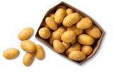 Kaufland Kaufbeuren - Ägypt. kleine Speisefrühkartoffeln Angebot im Prospekt Ägypt. kleine Speisefrühkartoffeln bei Kaufland im Kaufbeuren Prospekt für 1,99 €
