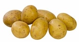 EDEKA Sendenhorst - Deutschland Speisekartoffeln Angebot im Prospekt Deutschland Speisekartoffeln bei EDEKA im Sendenhorst Prospekt für 2,22 €