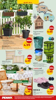 Blumentopf im Penny Prospekt "Wer günstig will, muss Penny." mit 41 Seiten (Mannheim)