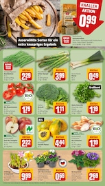 Spargel im REWE Prospekt in Weimar Aktueller REWE Prospekt mit Spargel, "Dein Markt", Seite 7