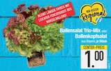 Ballensalat Trio-Mix von Von Herzen Regional im aktuellen EDEKA Prospekt für 1,00 €