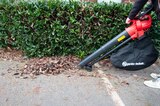 Aspirateur souffleur - ELEM TECHNIC en promo chez Carrefour Pamiers à 24,99 €