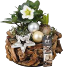 Winter-Arrangement für 14,99 € bei V-Markt im Angebot Winter-Arrangement im aktuellen V-Markt Prospekt