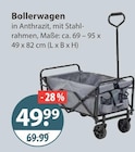 Bollerwagen im aktuellen V-Markt Prospekt für 49,99 €