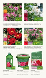 Dünger Angebote im Prospekt "ROSEN-ERLEBNISWOCHEN" von Pflanzen Kölle Dünger Angebote im Prospekt "ROSEN-ERLEBNISWOCHEN" von Pflanzen Kölle auf Seite 3