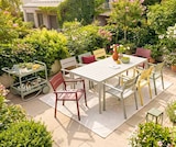 Armlehnstuhl Delia  im aktuellen Segmüller Prospekt für 99,99 €