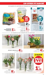 Jardinage Angebote im Prospekt "Super U" von Super U Jardinage Angebote im Prospekt "Super U" von Super U auf Seite 35