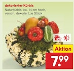 Dekorierter Kürbis Angebote bei Netto Marken-Discount Wunstorf für 7,99 €