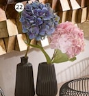 Kunstblume im Angebot bei XXXLutz in Oberhausen Kunstblume Angebote bei XXXLutz Oberhausen für 6,99 €
