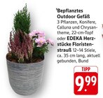 Aktuelles Bepflanztes Outdoor Gefäß Angebot bei E center in Ulm ab 9,99 €