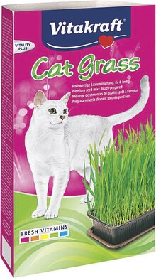 Géant Casino Beaucouzé - Herbe à chat cat grass Promo Herbe à chat cat grass dans le catalogue Géant Casino "Le salon de l'animal de compagnie" à Beaucouzé