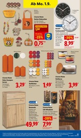 Holz im Lidl Prospekt in Schwerin Aktueller Lidl Prospekt mit Holz, "LIDL LOHNT SICH", Seite 35
