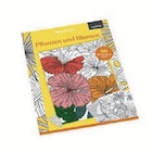 Angebot im Lidl Geesthacht Prospekt Lidl Geesthacht Prospekt mit im Angebot für 3,99 €