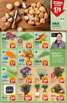 Blumen im aktuellen REWE Prospekt (Nürnberg) Blumen im REWE Prospekt "Dein Markt" mit 30 Seiten (Nürnberg)