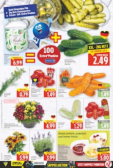 Obst im aktuellen E center Prospekt (Berlin) Obst im E center Prospekt "Aktuelle Angebote" mit 23 Seiten (Berlin)