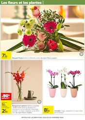 Orchidée Angebote im Prospekt "Carrefour" von Carrefour auf Seite 75