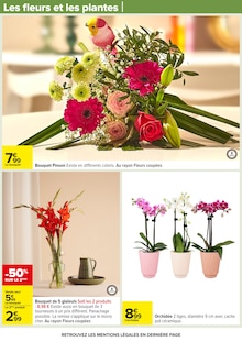 Promo Terreau dans le catalogue Carrefour du moment à la page 75