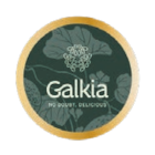 Galiamelone im Lidl Prospekt Galiamelone von Galkia im aktuellen Lidl Prospekt für 1,79 €