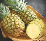 Ananas en promo chez Netto Ananas dans le catalogue Netto