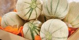 Melon Charentais Jaune en promo chez Intermarché Super Melon Charentais Jaune dans le catalogue Intermarché Super