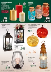 Aktueller Selgros Prospekt mit Laterne, "cash & carry", Seite 24