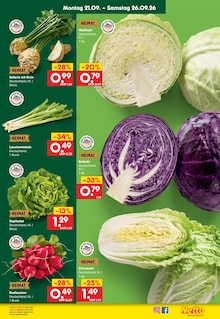 Sellerie im Netto Marken-Discount Prospekt "Aktuelle Angebote" mit 71 Seiten (Dresden)