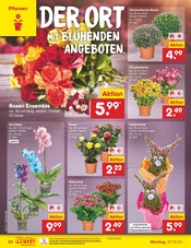 Aktueller Netto Marken-Discount Prospekt mit Blumen, "Aktuelle Angebote", Seite 30