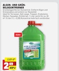 Algen- und Grünbelagentferner bei Marktkauf im Horb Prospekt für 2,49 €