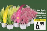 E center Fürstenfeldbruck - Calluna Angebot im Prospekt Calluna bei E center im Fürstenfeldbruck Prospekt für 6,99 €