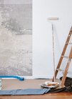 Toile de rénovation lisse 100% intissé dans le catalogue Décor Discount