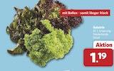 combi Schwanewede - Salatrio Angebot im Prospekt Salatrio bei combi im Schwanewede Prospekt für 1,19 €