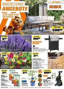Blumenerde im aktuellen OBI Prospekt (Nürnberg) Blumenerde im OBI Prospekt "BIBERSTARKE ANGEBOTE" mit 20 Seiten (Nürnberg)
