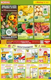 Melone Angebote im Prospekt "Mehr fürs Geld" von Norma Melone Angebote im Prospekt "Mehr fürs Geld" von Norma auf Seite 8
