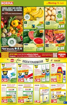 Sandspielzeug Angebot im aktuellen Norma Prospekt auf Seite 8