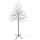 Kirschblütenbaum im Angebot bei POCO in Hanau Kirschblütenbaum Angebote bei POCO Hanau für 22,99 €