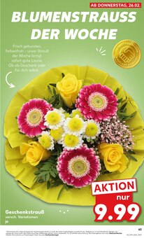 Chrysantheme im Kaufland Prospekt "Aktuelle Angebote" mit 70 Seiten (Bochum)