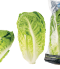 Mini Romanasalat Angebote von EDEKA Regional bei EDEKA Hamburg für 1,49 €