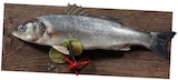 Aktuelle Fisch Angebote bei REWE in Duisburg Aktuelles Wolfsbarsch Angebot bei REWE in Duisburg ab 1,69 €