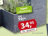 Würfel-Pflanztopf Angebote bei Sonderpreis Baumarkt Bottrop für 34,95 €