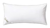 3-Kammer-Kopfkissen im Angebot bei Lidl in Melle 3-Kammer-Kopfkissen Angebote von Fjödur bei Lidl Melle für 34,99 €