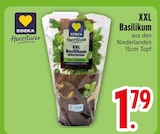 XXL Basilikum von EDEKA Herzstücke im aktuellen EDEKA Prospekt für 1,79 €