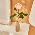 Rose emballée à Carrefour Market dans Monétay-sur-Allier