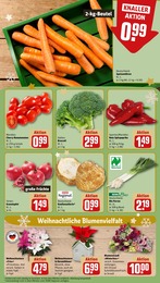 Pflanzen Angebot & Preis im aktuellen REWE Prospekt Pflanzen Angebot im aktuellen REWE Prospekt auf Seite 9