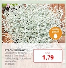 Angebot im BBM Baumarkt Barsinghausen Prospekt BBM Baumarkt Barsinghausen Prospekt mit im Angebot für 1,79 €