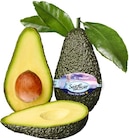 Aktuelle Obst Angebote bei REWE in Mannheim Aktuelles Avocado Angebot bei REWE in Mannheim ab 1,99 €