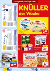 Sekt im Netto Marken-Discount Prospekt in Neustadt Aktueller Netto Marken-Discount Prospekt mit Sekt, "Aktuelle Angebote", Seite 2