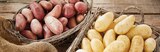 Pommes de terre de consommation à chair ferme Jazzy - INTERMARCHÉ TERROIRS dans le catalogue Intermarché Hyper