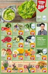 Kopfsalat im REWE Prospekt "Dein Markt" auf Seite 7